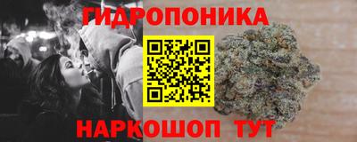 прущие грибы Малгобек