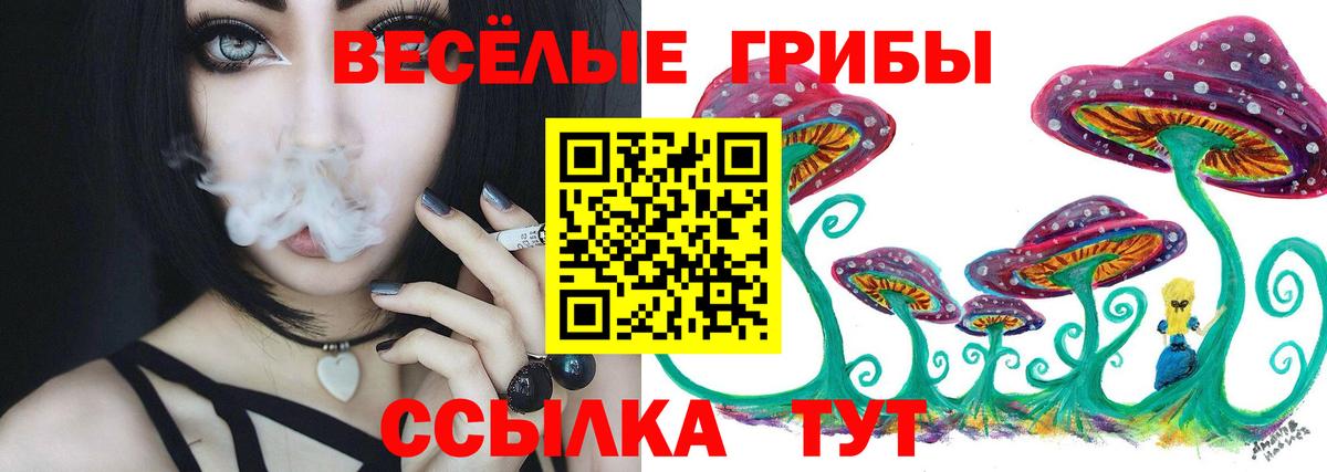 Галлюциногенные грибы Psilocybine cubensis  Вход с VPN  Урус-Мартан 